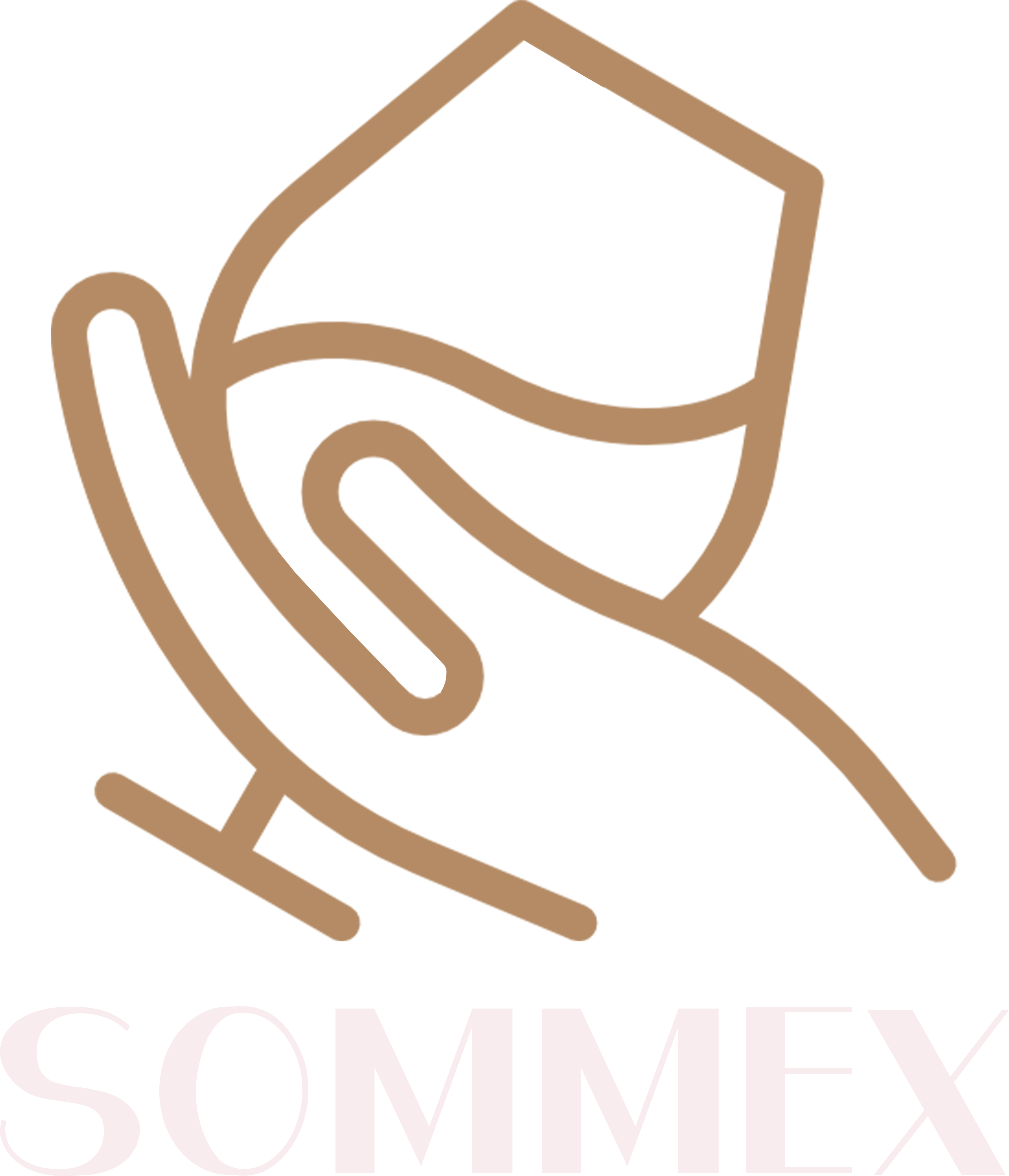 SOMMEX Logo